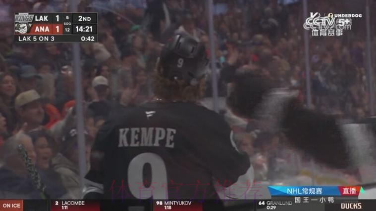 常规赛：洛杉矶国王1-2阿纳海姆小鸭 集锦
